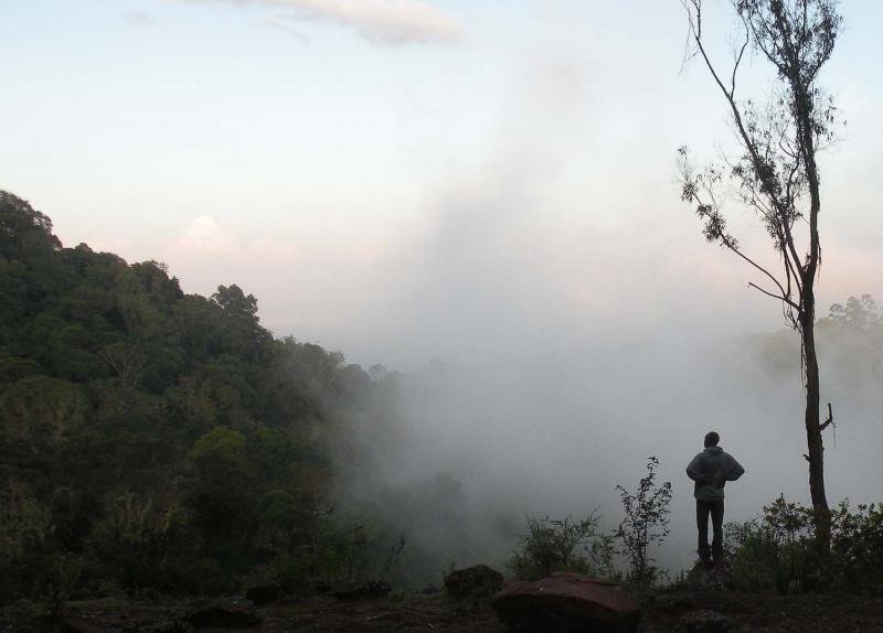 Shekolo Indigenous Forest